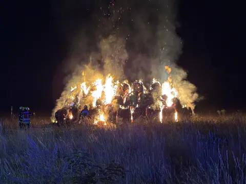 Bild aus der Galerie der Feuerwehr